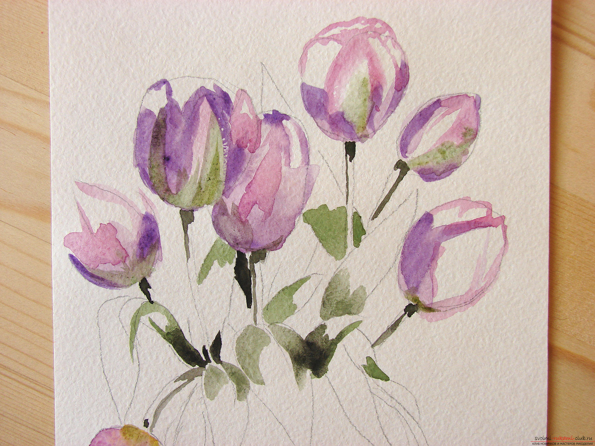 Мастер-класс по рисованию с фото научит как нарисовать цветы, подробно описав как рисуются тюльпаны поэтапно.. Фото №7